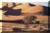 Sossusvlei.jpg (12508 byte)