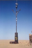 Albero del Tnr
