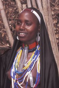 donna Arbor