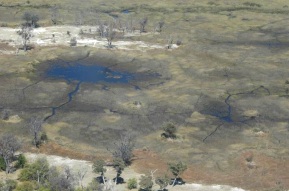 Sorvolando il delta dell'Okavango