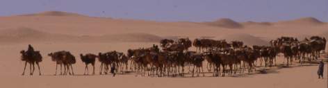 La Tarlamt in un passaggio tra le dune prima di Bilma