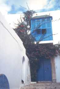 Casa tipica con bouganville