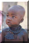 BimboHimba.jpg (8008 byte)