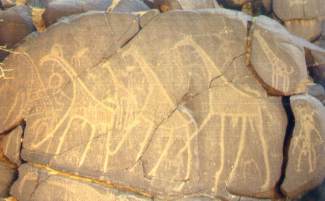 Graffito di giraffe ad Agamgam