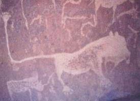 Graffito di un Leone