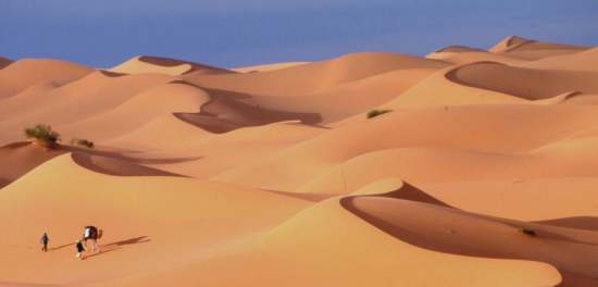 Grande erg Occidentale - Algeria